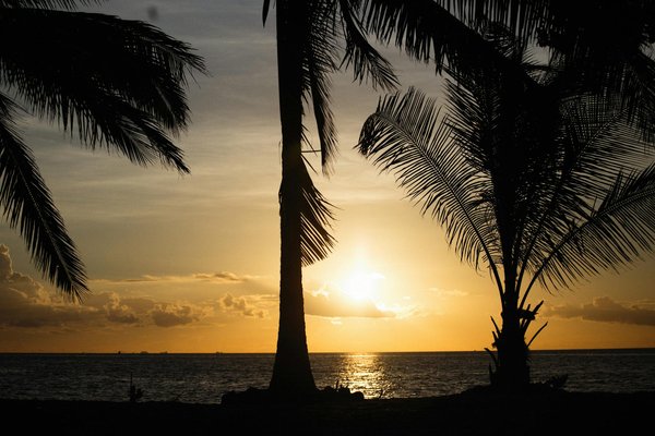 Les hôtels avec piscine sur le toit pour une vue imprenable