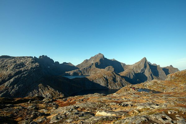 Le Parc zoologique de Beauval en hiver : une expérience inoubliable