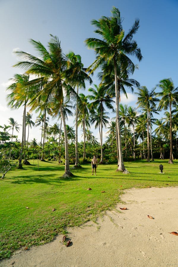 Destinations ensoleillées pas chères pour échapper à l'hiver